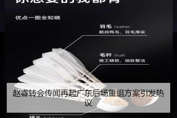赵睿转会传闻再起广东后场重组方案引发热议
